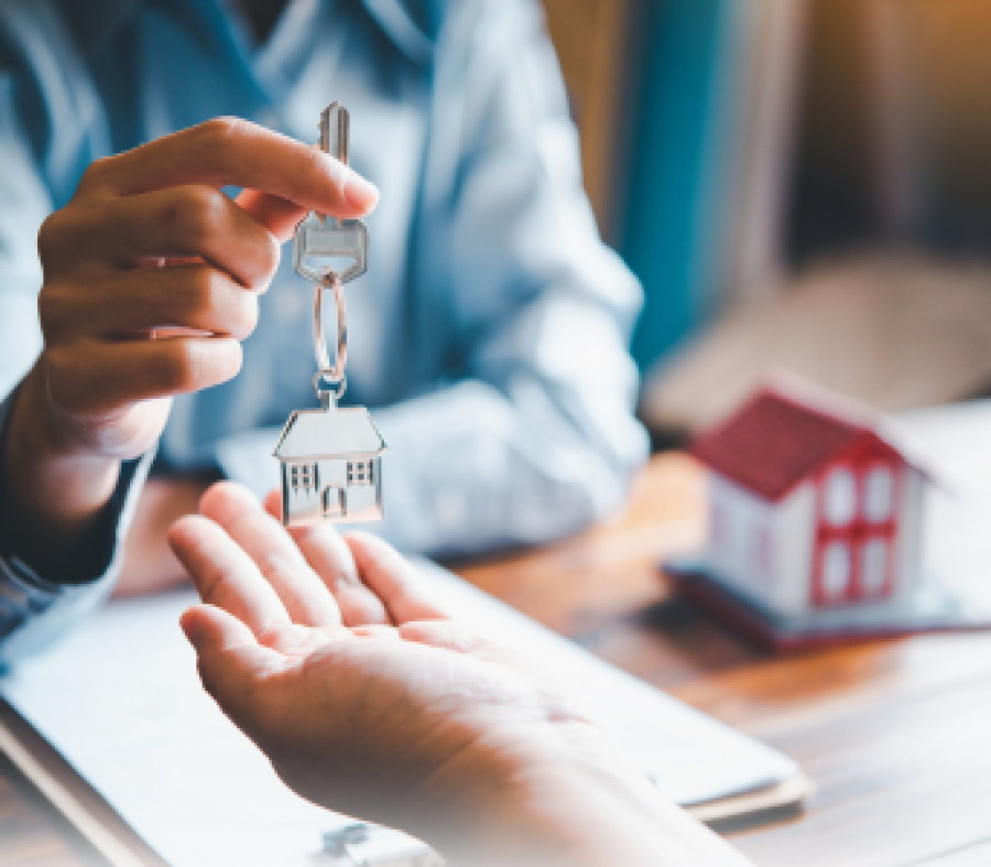 Justiça manda ADESSCO suspender venda de lotes e regularizar empreendimentos irregulares em Boa Vista