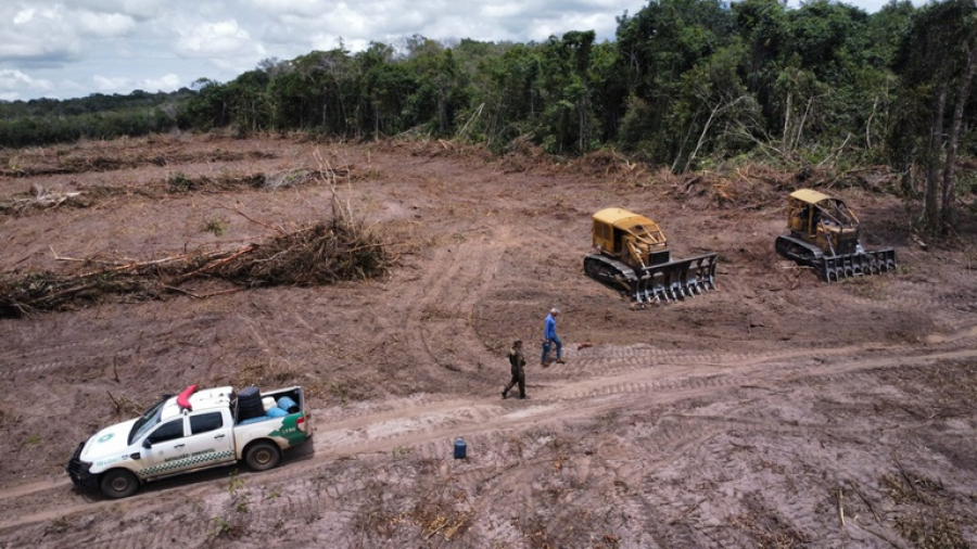 AGU mantém multa milionária por desmatamento ilegal em área da Amazônia em Rondônia