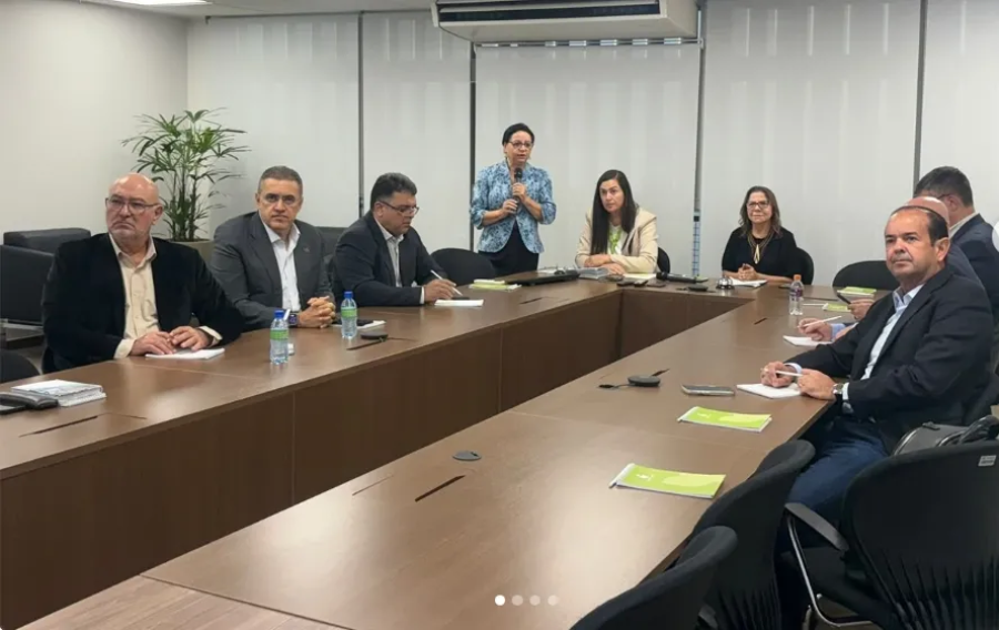FIER leva debate sobre sustentabilidade e inovação industrial de Roraima a encontro em Brasília